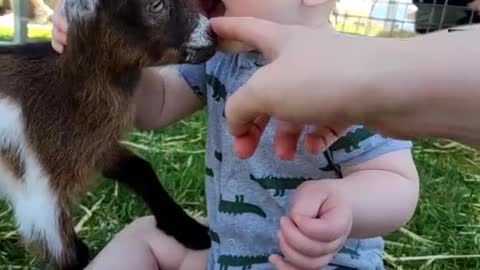 Funny Kids and Animals #1