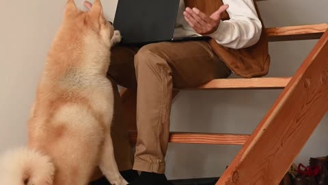 Man Using Laptop While Sitting on Stairs