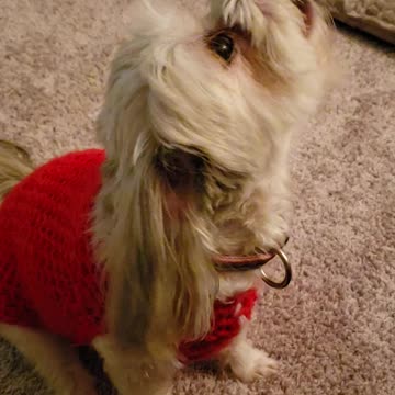 Kenzie trying to sing