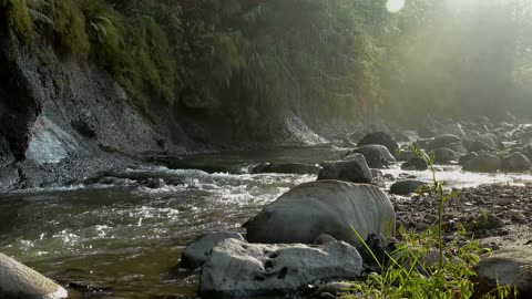 NATURE SOUNDS