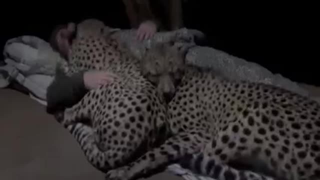 Something interesting!! Animals can also have feelings for humans ☺️☺️☺️