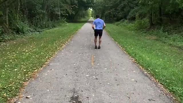 How would human walk if they were animals