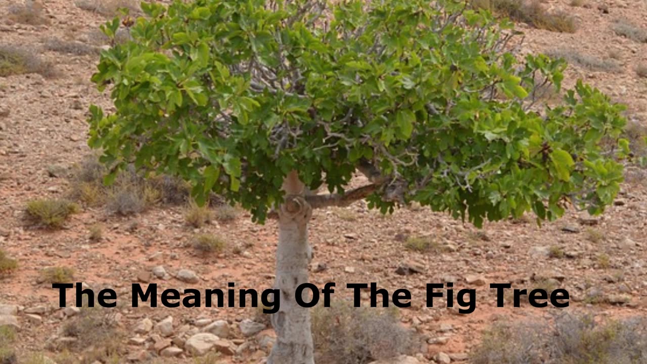 The Meaning Of The Fig Tree | Pastor Robby Dickerson