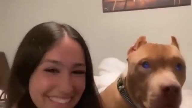 Dog dancing with owner is awesome