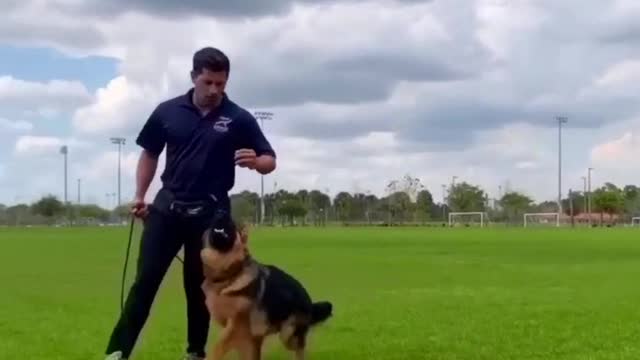 GOOD BOY