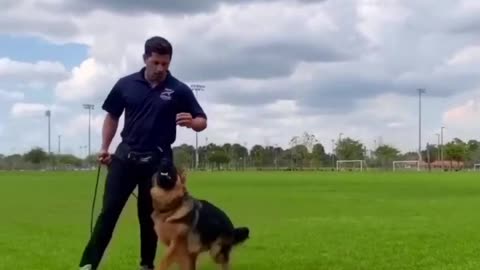GOOD BOY