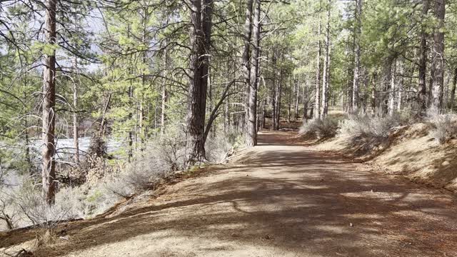 Checking Out Deschutes River Trail – Central Oregon – 4K