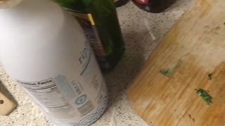 Just eggs plant based eggs review!