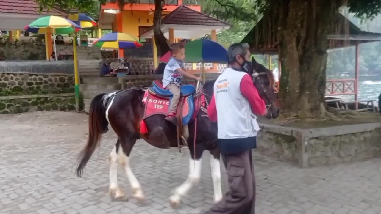 Little Boy riding a horse