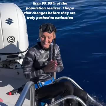 Two HUGE Tiger sharks greet me on my dive‼️