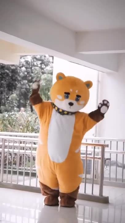 FUNNY & CUTE TEDDY BEAR DANCE 🐻👯