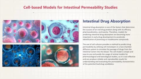 Caco-2 Permeability