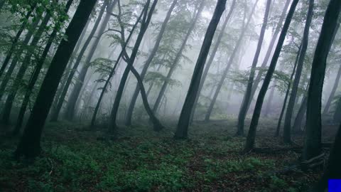 Spooky Thunder & Rain Meditation Relaxed Sleep