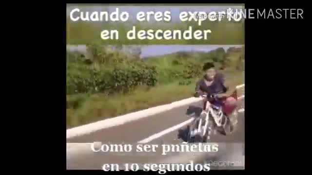 Videos cortos para reirse y entretenerse unos minutos