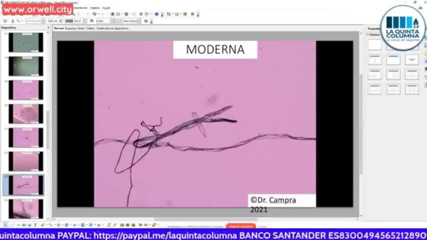 Observations of Possible Microbiota in COVID mRNA Vaccines by Dr. Pablo Campra Madrid