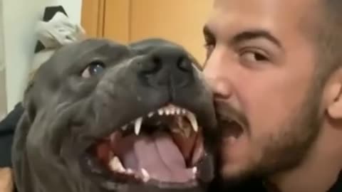1 MINUTE! _ 🐶 Dog Lovers _ SHORT & FUNNY Videos 🤣 #Shorts