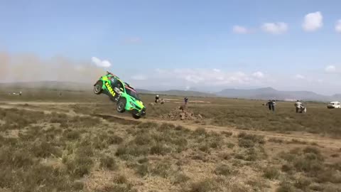 Safari rally in the wild