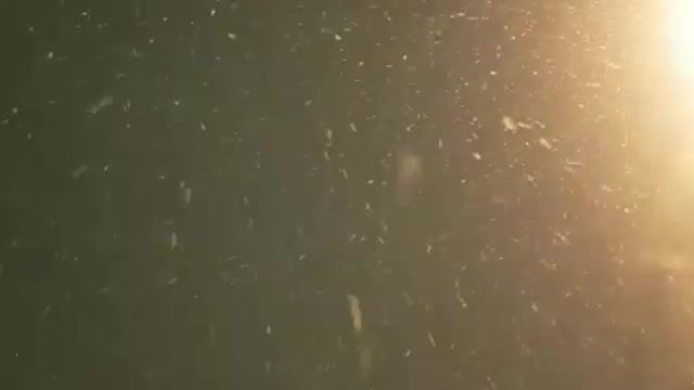 The falling snow