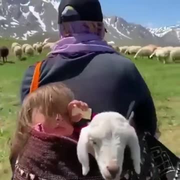 Girl And Her Lamb Have The Most Perfect Friendship