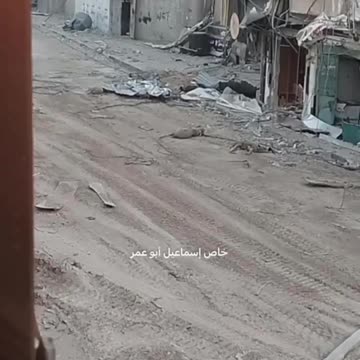 Chazar nie lubi owiec