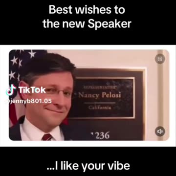 Best Wishes To The New Speaker - I Like Your Vibe 🤣