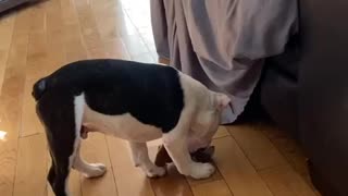 Playin with big sister