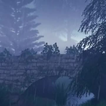 Rainy Night in a Mystical Forest