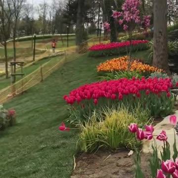 Allah manusher Jonno Nizamuddin station