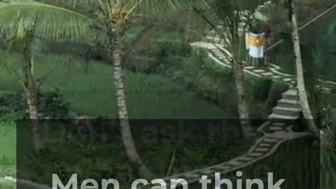 FUN FACT about MEN 005