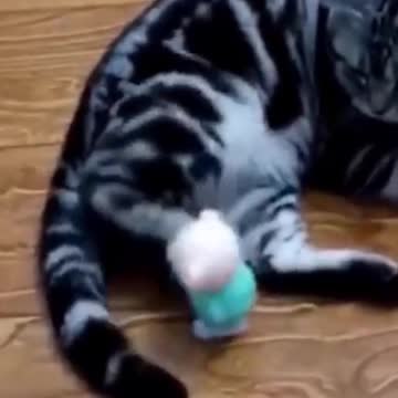 Cutest Try not to Laugh Kittens & Pups-7