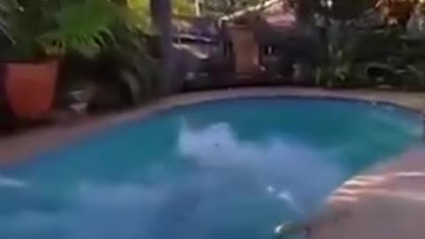 Falls and Fails compilation. That's gonna leave a mark