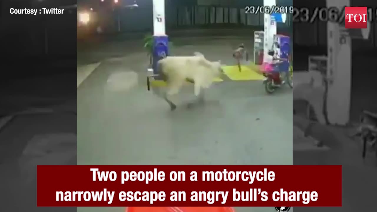 How riders narrowly escape an angry bull