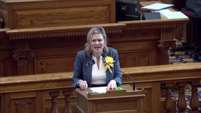 Elena Parent SLAMS Georgia Senate Over Voting Machines!!!