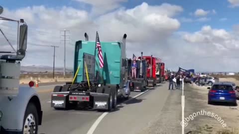 U.S. Trucker convoy