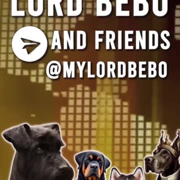 “軍事訊息追蹤”在胡塞武裝公佈襲擊艾森豪航母令其受創的訊息，艦長Chowdah Hill發了此於Mar.21.2024曾發佈的舊影片！無論艾森豪號是否真的遭到攻擊受創，都顯示了世界對美國的暴行不再沉默