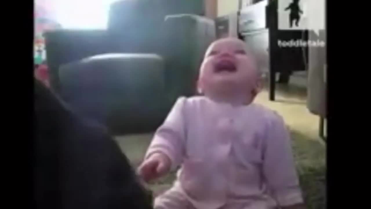 Baby laugh video clip | funny laugh video clip #5