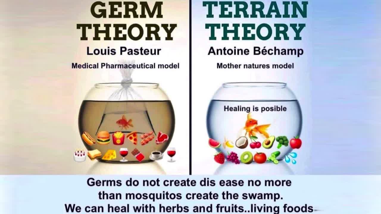 Germ Theory vs. Terrain Theory