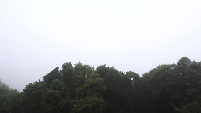 Sleeping in a forest hut in the rain. Сон в лесной хижине во время дождя