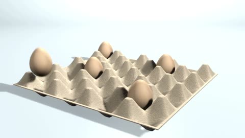 Egg Packaging Video