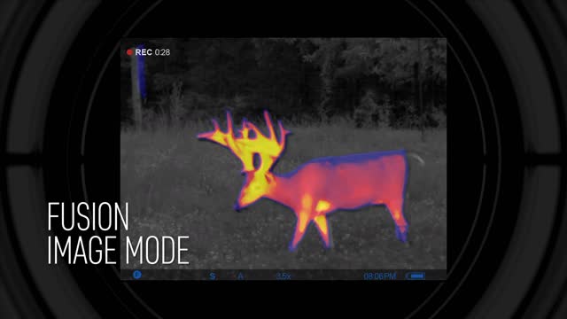 Pulsar Trionyx T3 Multispectral Binoculars