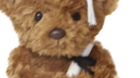 Aurora World Graduation - 8.5" Wagner Bear Graduation - White Cap Plush Brown