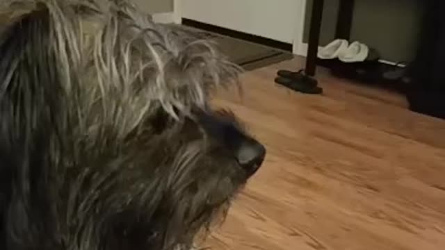 Squinty eyes