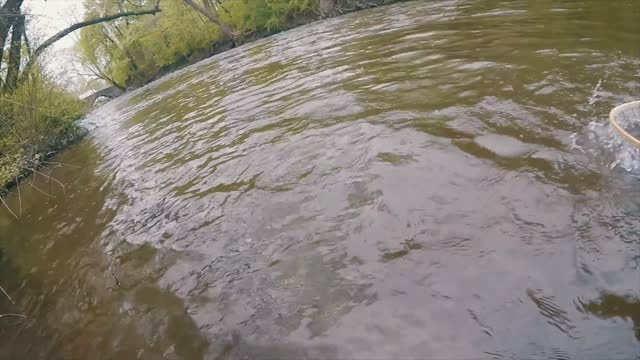 Pennsylvania Trout Fishing - Yellow Breeches Part 1