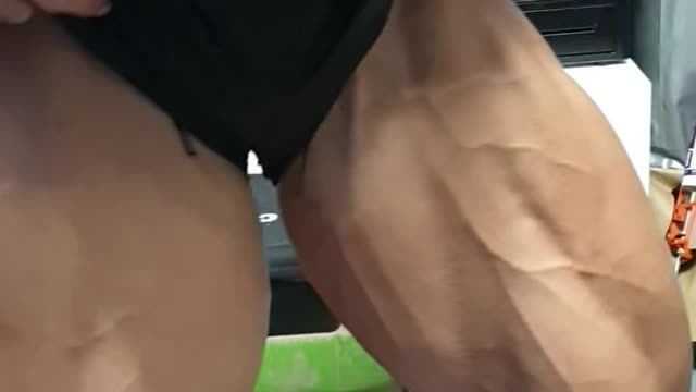 Quadriceps muscle