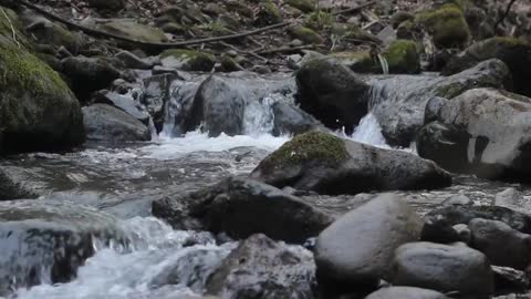 MÚSICA CELTA Piano Flauta Inspirar Estudar Focar Tranquilizar Relaxar