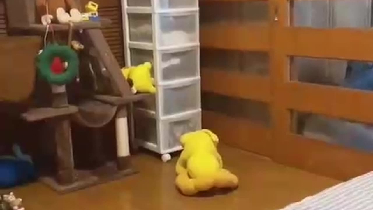 And I love 😘❣️ to get rid of a pimple on your