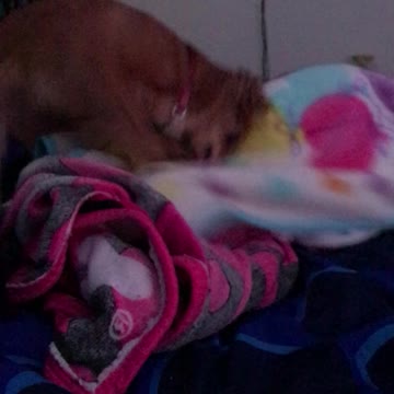 Mighty Minnie’s Favorite Game