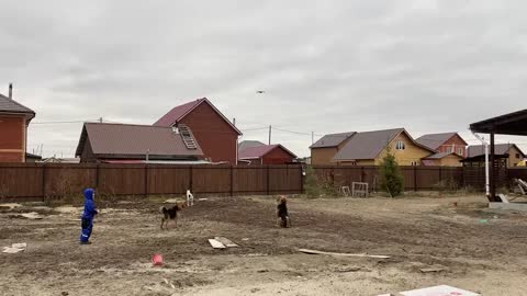 When your dogs are very active, and three batteries for half an hour are not enough :)