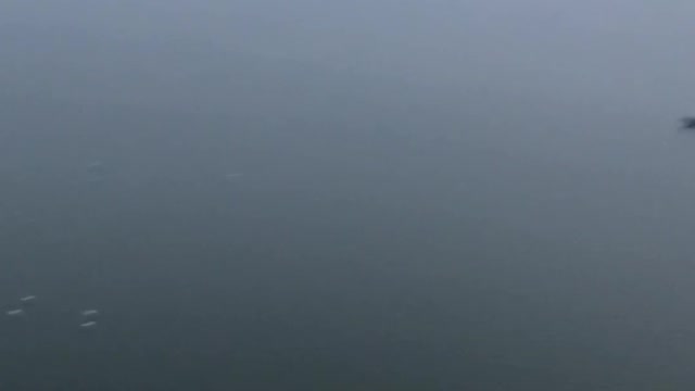 Heads in the Cloud