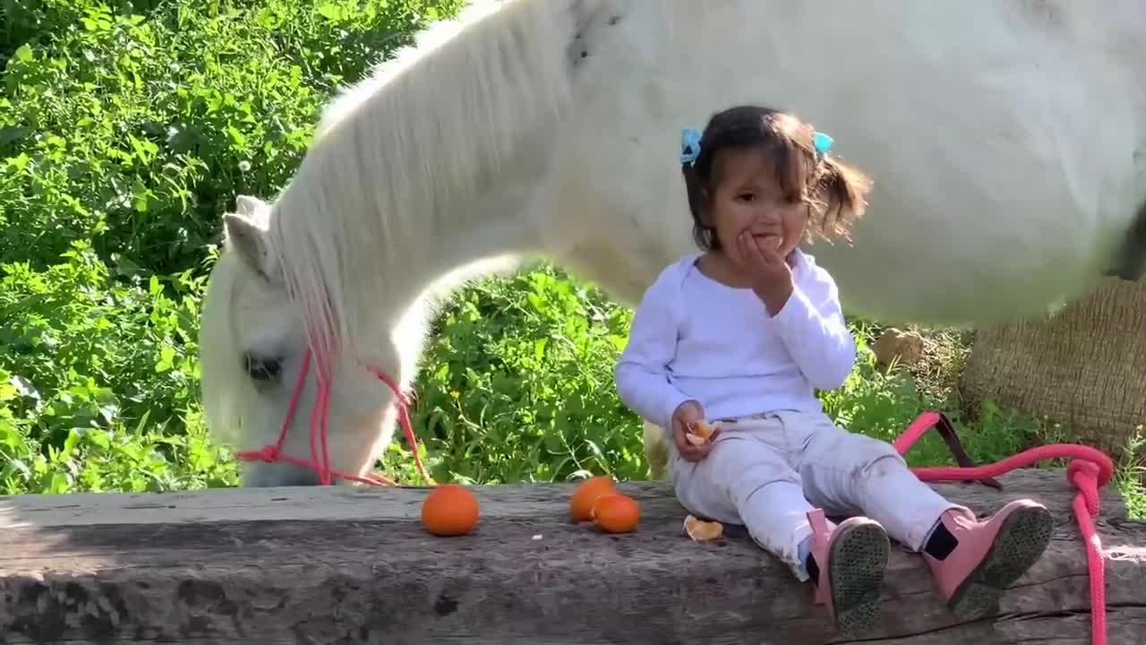 The cutest little toddler horse rider and her pony